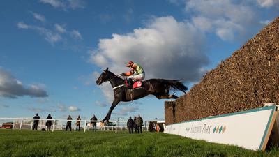 Mite Bite winner of ther 2017 King George VI Chase