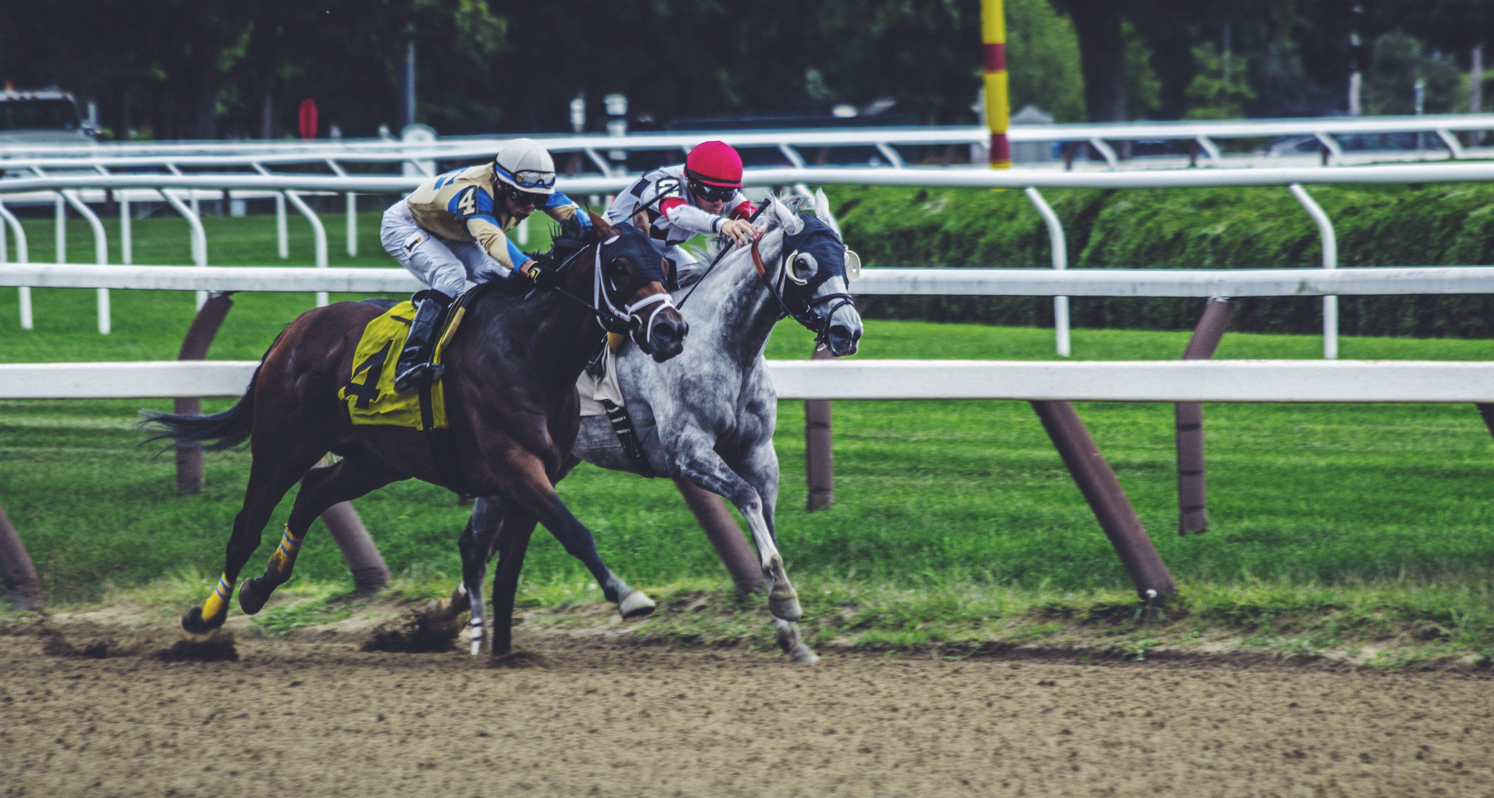 Racing Horses Racing Horses