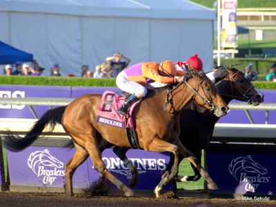 pick 5 payout horse racing
