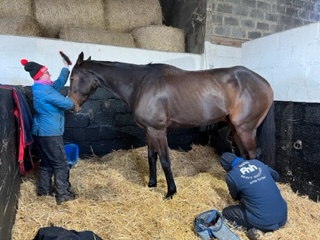 Behind The Scenes At Susan Corbett's Racing Stable