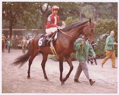 Cougar's Racing Silks