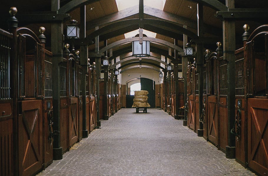 Horse Racing Stables