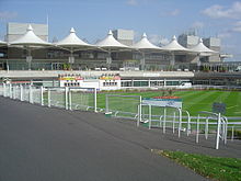Sandown Park Racecourse Parade Ring