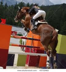 Show Jumper