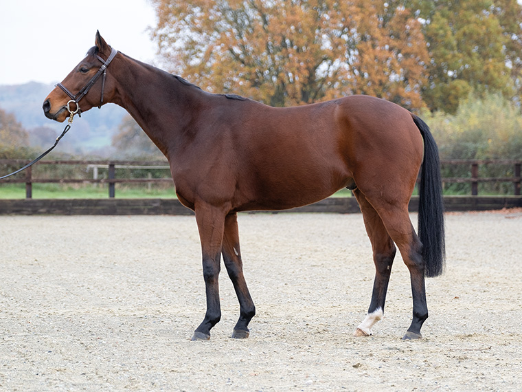 Squire Danagher has shares available for £42 per year with The Owners Group