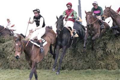 Grand National 1978 in which S Norton had 2 runners