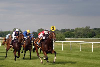 Horse Racing on The Flat