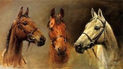 Three Kings Horses