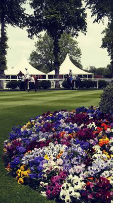 Windsor  Racecourse