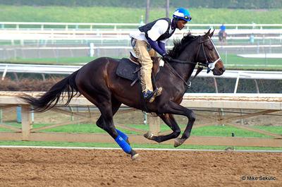 Cozmic One - photo by Mike Sekulic
