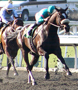 Zenyatta Wins The Lady's Secret Stakes
